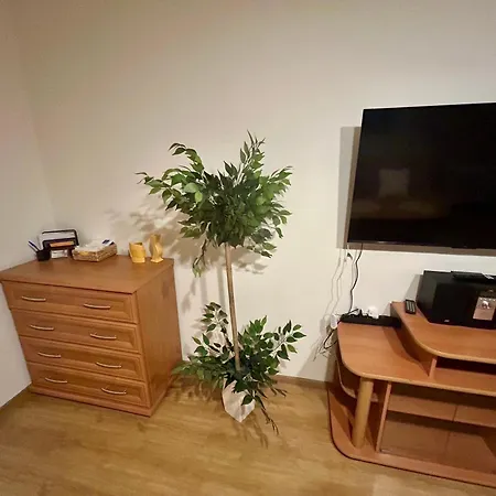 Apartamento T Joanna Blisko Dworca Gliwice