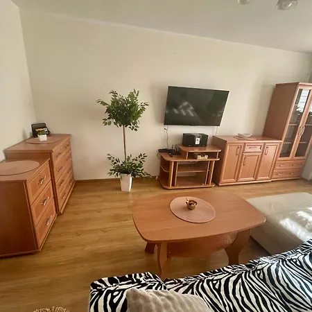 T Joanna Blisko Dworca Apartment