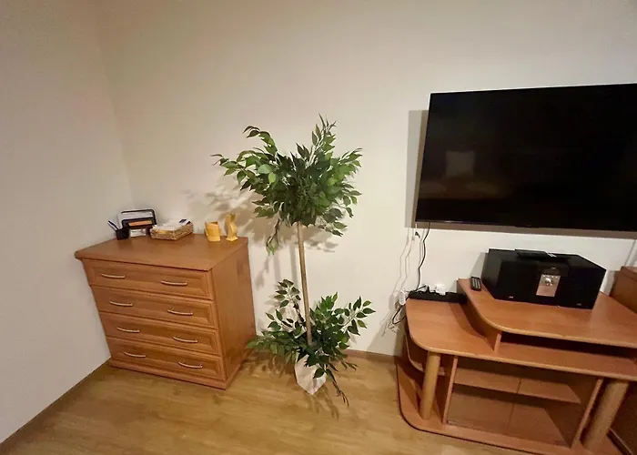 Apartament T Joanna Blisko Dworca Gliwice